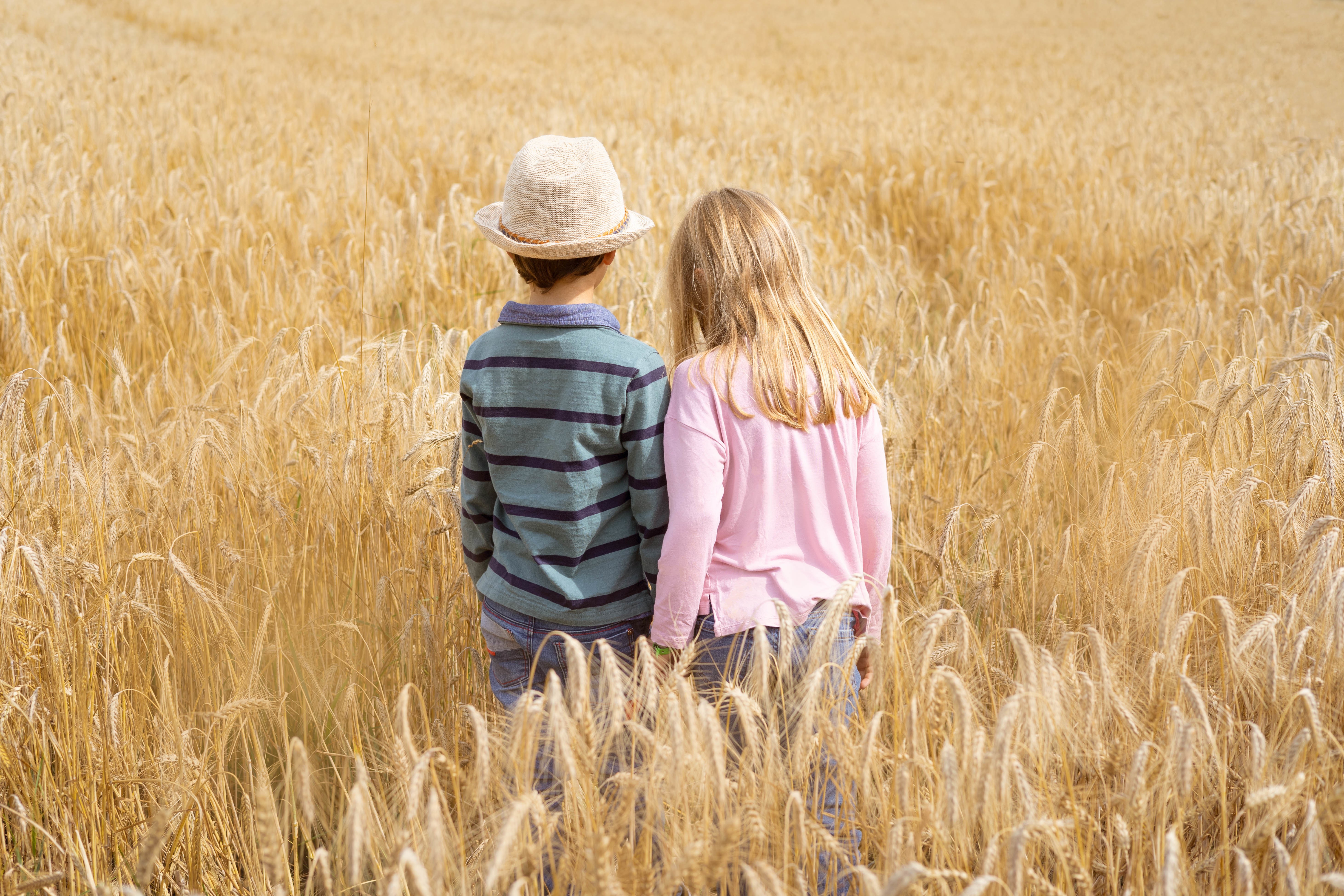 An image of two kids with their backs turned standing in a barley field
