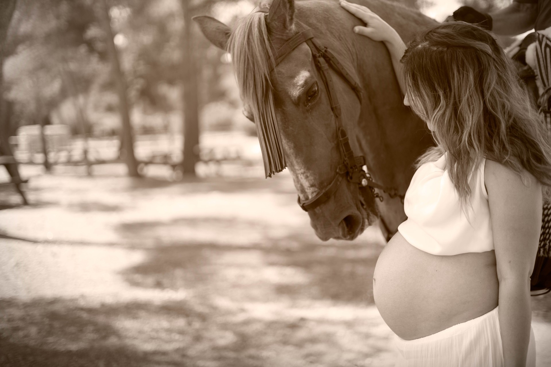 Imagen de una chica embarazada junto a un caballo.